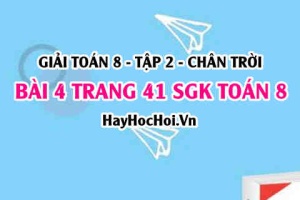 Bài 4 trang 41 Toán 8 Tập 2 Chân trời sáng tạo